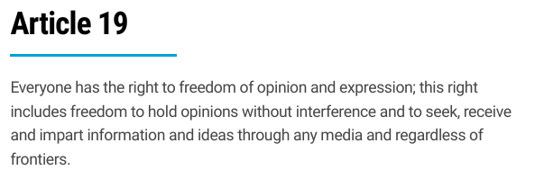 Freedom of Opinion and Expression