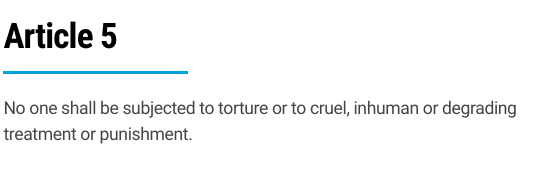 No torture or inhuman treatment